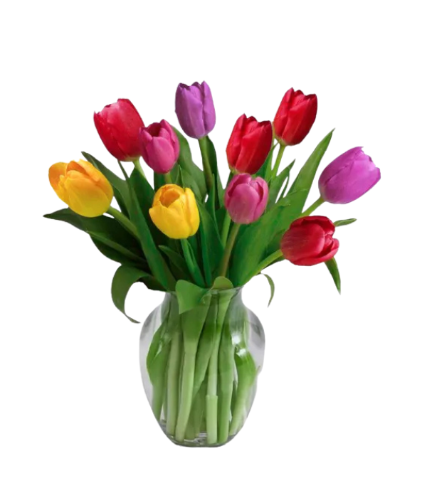 10 Spring Tulips in a Vase