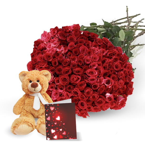 Teddy bear, roses, & card