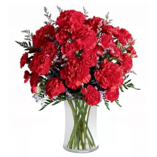 red-carnations