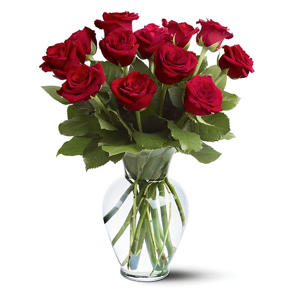 One Dozen Long Stem Red Rose